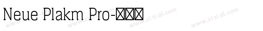 Neue Plakm Pro字体转换